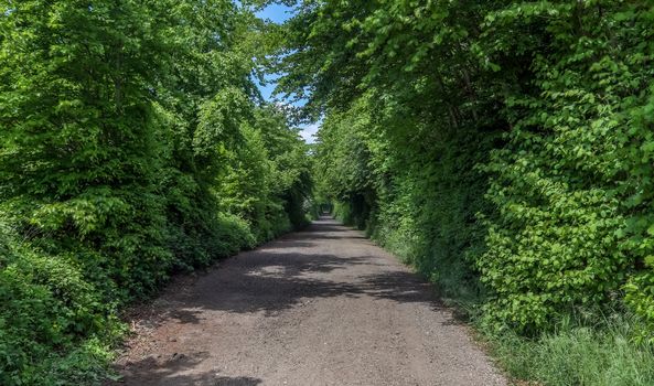 Beautiful view on countryside roads with fields and trees in northern europe.