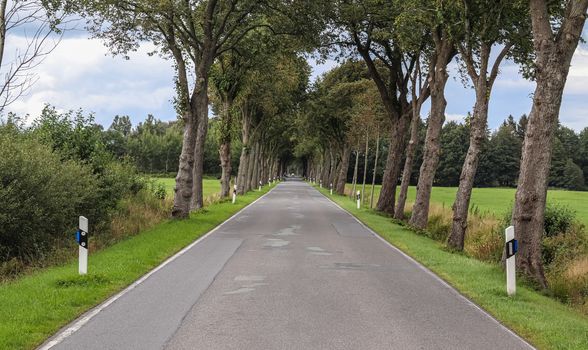 Beautiful view on countryside roads with fields and trees in northern europe.