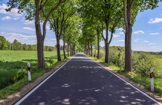 Beautiful view on countryside roads with fields and trees in northern europe.