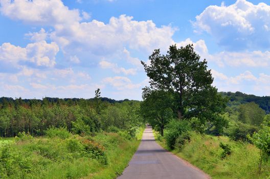 Beautiful view on countryside roads with fields and trees in northern europe.