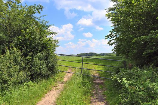 Beautiful view on countryside roads with fields and trees in northern europe.