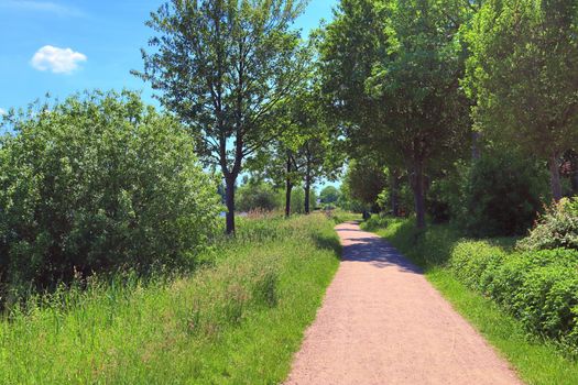 Beautiful view on countryside roads with fields and trees in northern europe.