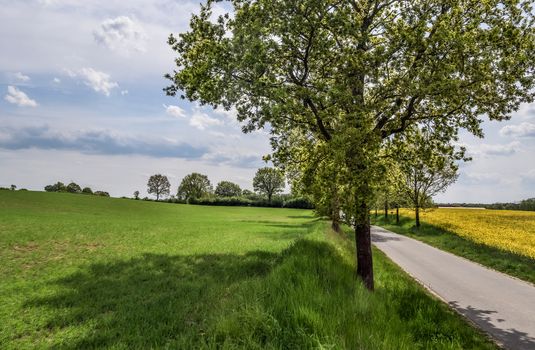 Beautiful view on countryside roads with fields and trees in northern europe.