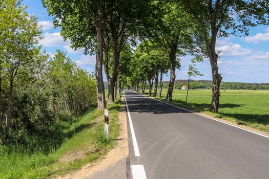 Beautiful view on countryside roads with fields and trees in northern europe.