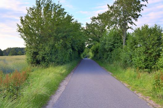 Beautiful view on countryside roads with fields and trees in northern europe.