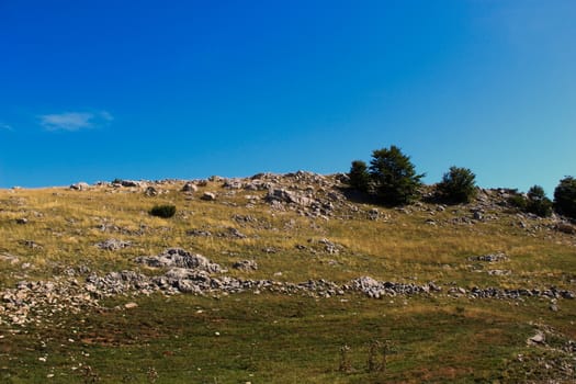 Meadow, rocks, trees and sky background. Bjelasnica Mountain, Bosnia and Herzegovina.