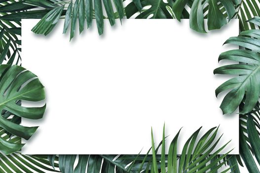 Summer tropical leaves with blank paper on white background