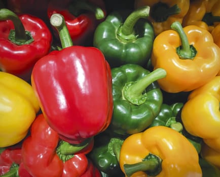 Bell pepper background