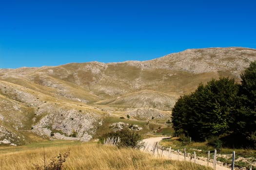 Mountain road to the old Bosnian village, Lukomir. Bjelasnica Mountain, Bosnia and Herzegovina.