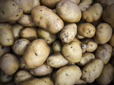 Close up potato texture background