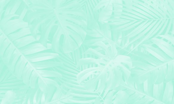 Neo mint color tropical leaves background