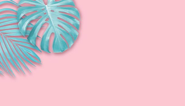 Tropical leaves on pink paper background with copy space Minimal summer banner design