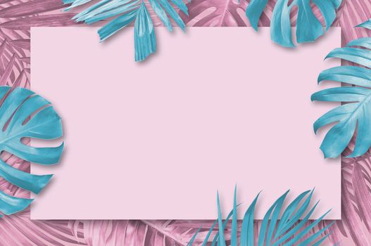 Summer tropical leaves background with copy space minimal style