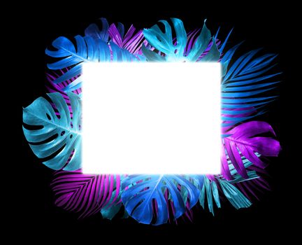 Summer tropical leaves and light box with copy space on black background trend neon style