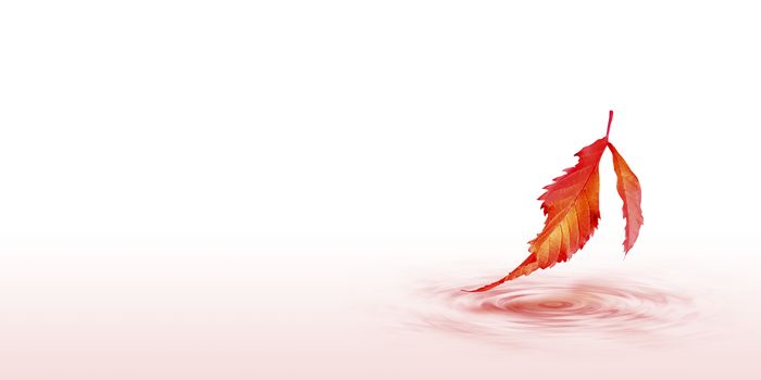 Autumn leaves on water wave design on white background with copy space minimal style