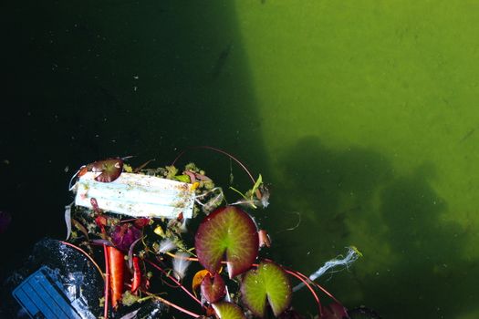 Used face mask thrown into water / lake. Environmental pollution concept. During a coronavirus pandemic.