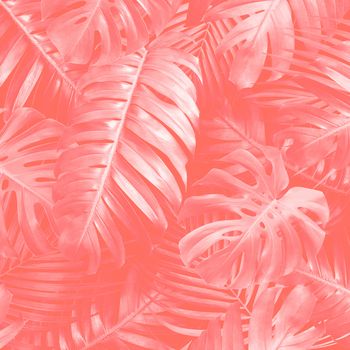 Summer tropical leaves background