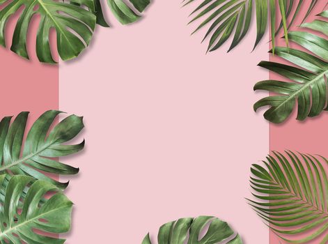 Tropical leaves on pink paper background with copy space Summer banner design