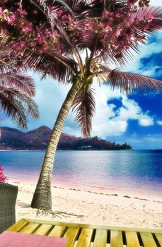 Magical fantasy infrared shots of palm trees on the Seychelles islands.