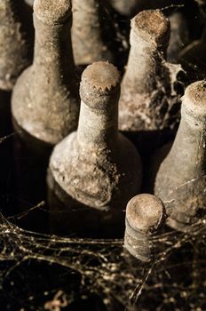 lot of old wine bottles in the spiderweb in the wine cellars close-up