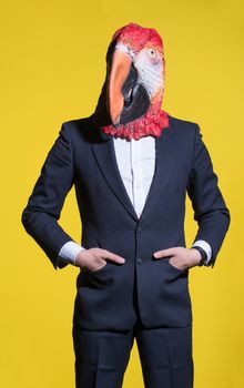 A man in a suit and a parrot mask. Conceptual business background