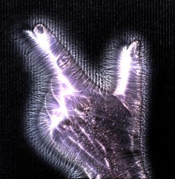 3D-Illustration of a glowing human female hand with a kirlian aura showing different symbols.