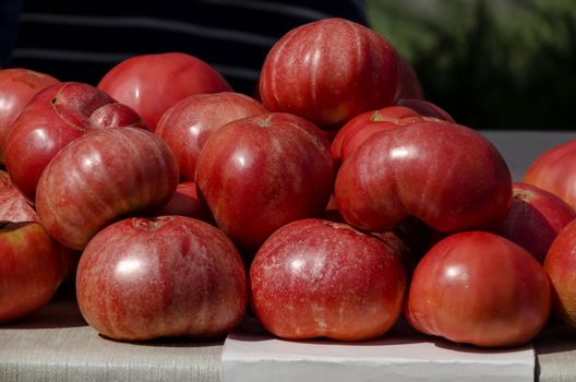 A bunch of pink fresh ripe tomatoes stacked on a table, Sofia, Bulgaria