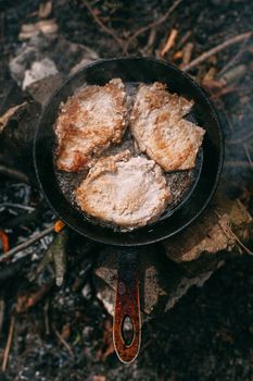 Frying meat in a pan over an open fire with leek. Steak in a pan on a fire. Cooking in nature. Picnic. Grill on fire.