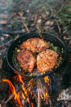 Frying meat in a pan over an open fire with leek. Steak in a pan on a fire. Cooking in nature. Picnic. Grill on fire. Cooking meat in wine with seasonings.