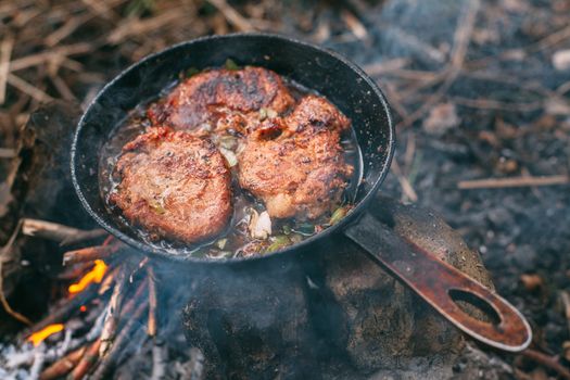 Frying meat in a pan over an open fire with leek. Steak in a pan on a fire. Cooking in nature. Picnic. Grill on fire. Cooking meat in wine with seasonings.