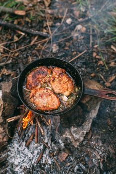 Frying meat in a pan over an open fire with leek. Steak in a pan on a fire. Cooking in nature. Picnic. Grill on fire. Cooking meat in wine with seasonings.