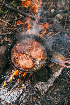 Frying meat in a pan over an open fire with leek. Steak in a pan on a fire. Cooking in nature. Picnic. Grill on fire. Cooking meat in wine.