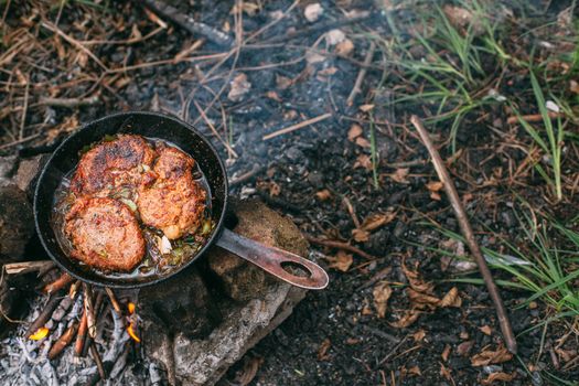 Frying meat in a pan over an open fire with leek. Steak in a pan on a fire. Cooking in nature. Picnic. Grill on fire. Cooking meat in wine with seasonings.