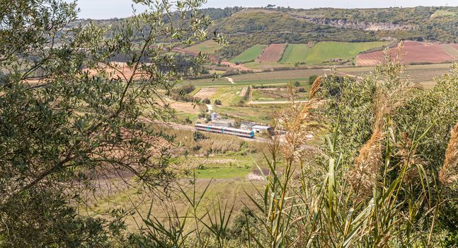 public train passing through the Portuguese countryside on a spring day