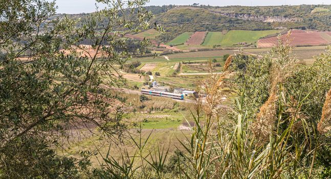 public train passing through the Portuguese countryside on a spring day