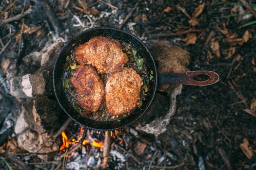 Frying meat in a pan over an open fire with leek. Steak in a pan on a fire. Cooking in nature. Picnic. Grill on fire. Cooking meat in wine with seasonings.