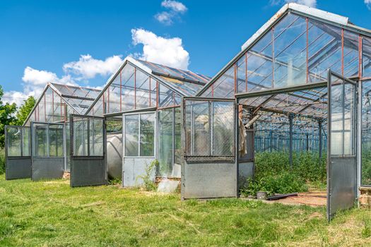 greenhouse on the farm for growing organic vegetables.