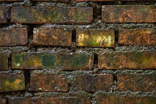 Wet dark brick wall texture close-up view
