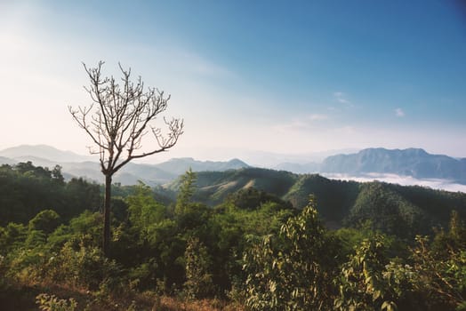 Morning in the mountains in Tak province, Thailand.