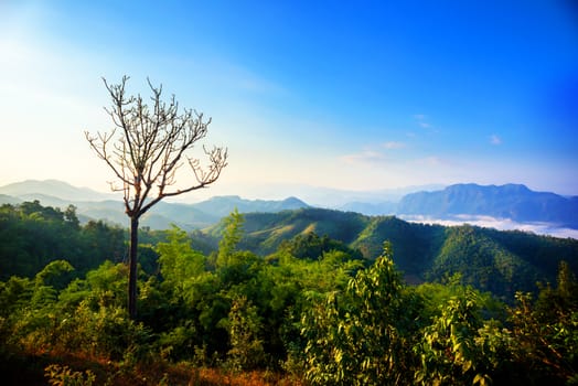 Morning in the mountains in Tak province, Thailand.