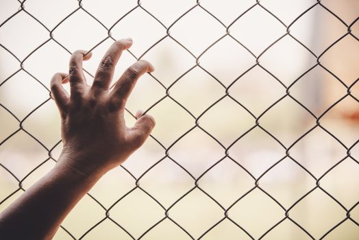 Hands and Steel Cage