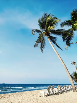 chairs and palm trees on tropical beach