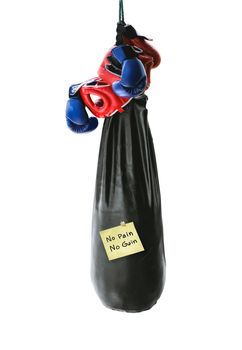 no pain no gain word on paper and punching bag over white background with clipping path
