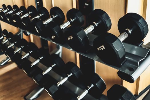 rows of dumbbell in the gym