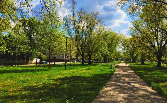 Sunny alley in the city park in spring, nature and outdoor landscape scenery