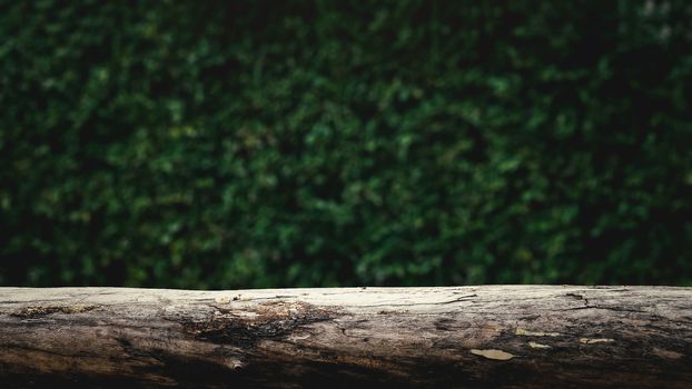 wooden bench and green bush blur background