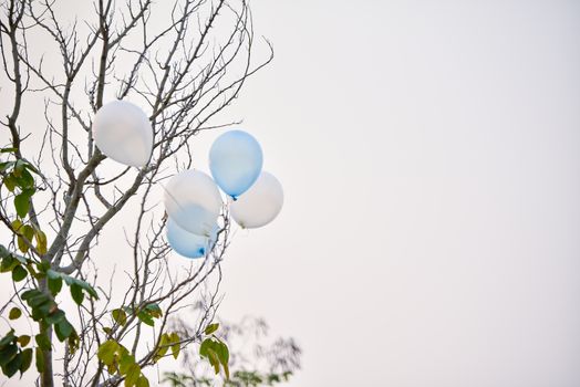 Balloons floating on the branches