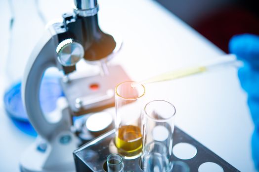 closeup-pipette dropping a sample into a test tube in an experiment research in laboratory.