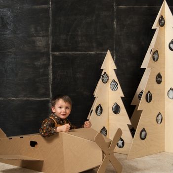 small boy sits in a cardboard toy aircraft near Christmas trees made of wood