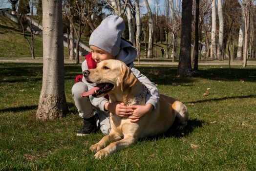 little boy playing with dog labrador in spring park